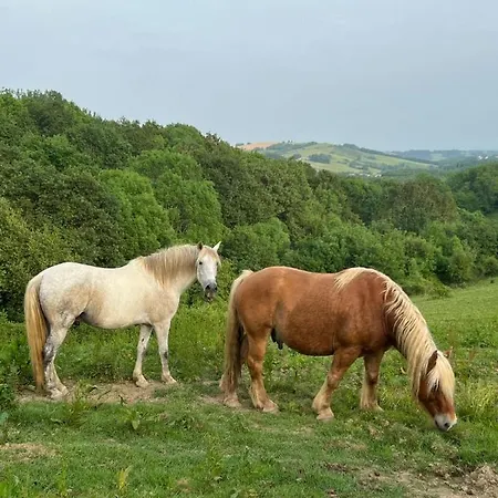Homestay Chez Habitant Dans Ferme Basque *